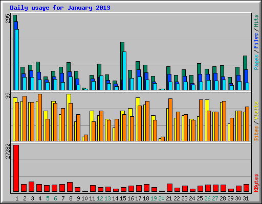 Daily usage for January 2013