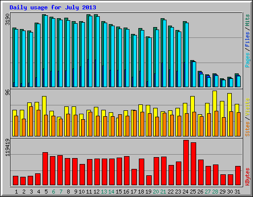 Daily usage for July 2013