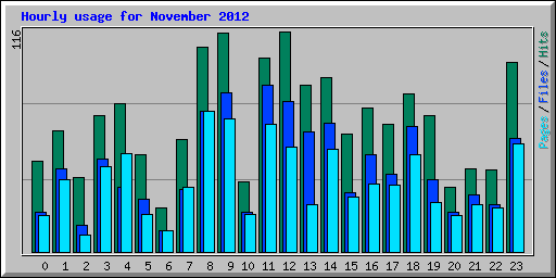 Hourly usage for November 2012
