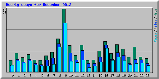 Hourly usage for December 2012