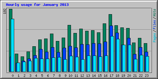 Hourly usage for January 2013