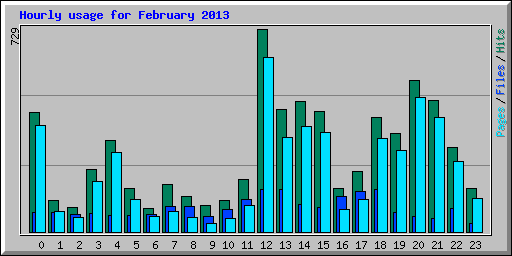 Hourly usage for February 2013