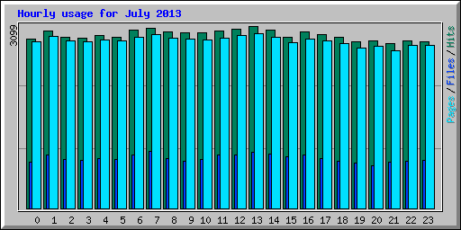 Hourly usage for July 2013