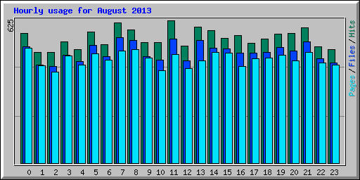 Hourly usage for August 2013