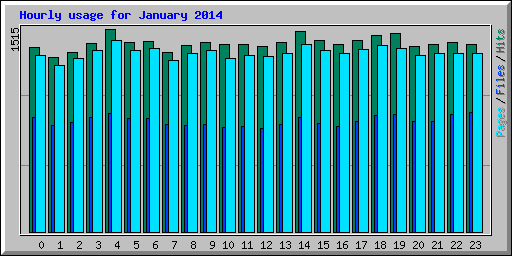 Hourly usage for January 2014